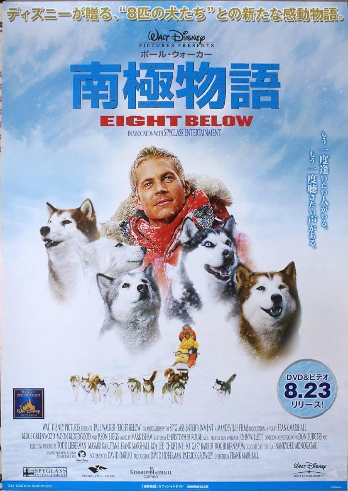 南極物語DVDと当時のパンフレット 南極物語DVDと当時のパンフレット 南極物語DVDと当時のパンフレット 南極物語DVDと当時のパンフレット