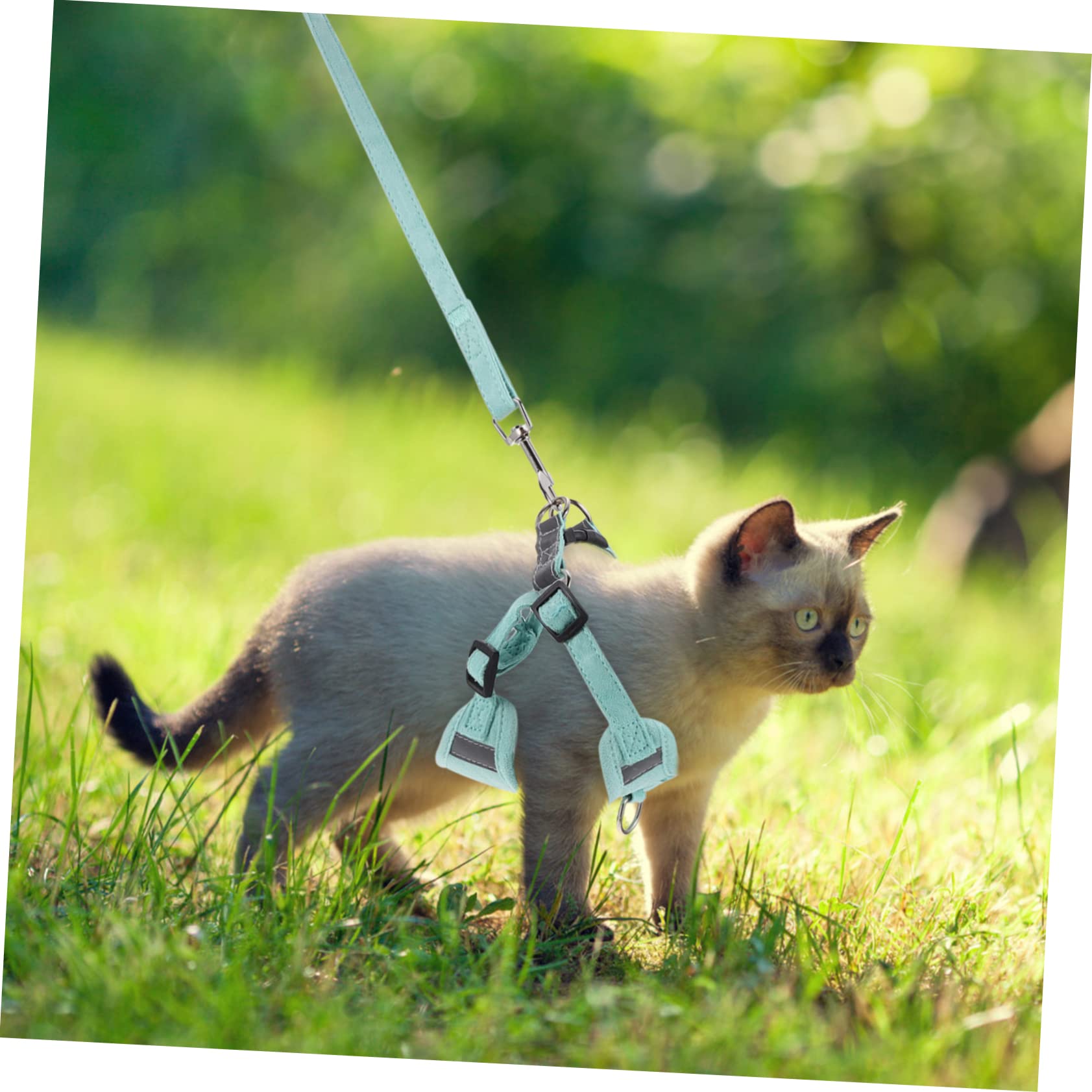 Toddmomy Pet Harness Leash Traction Rope Reflective Vest Kit 1.2m Length for Cats