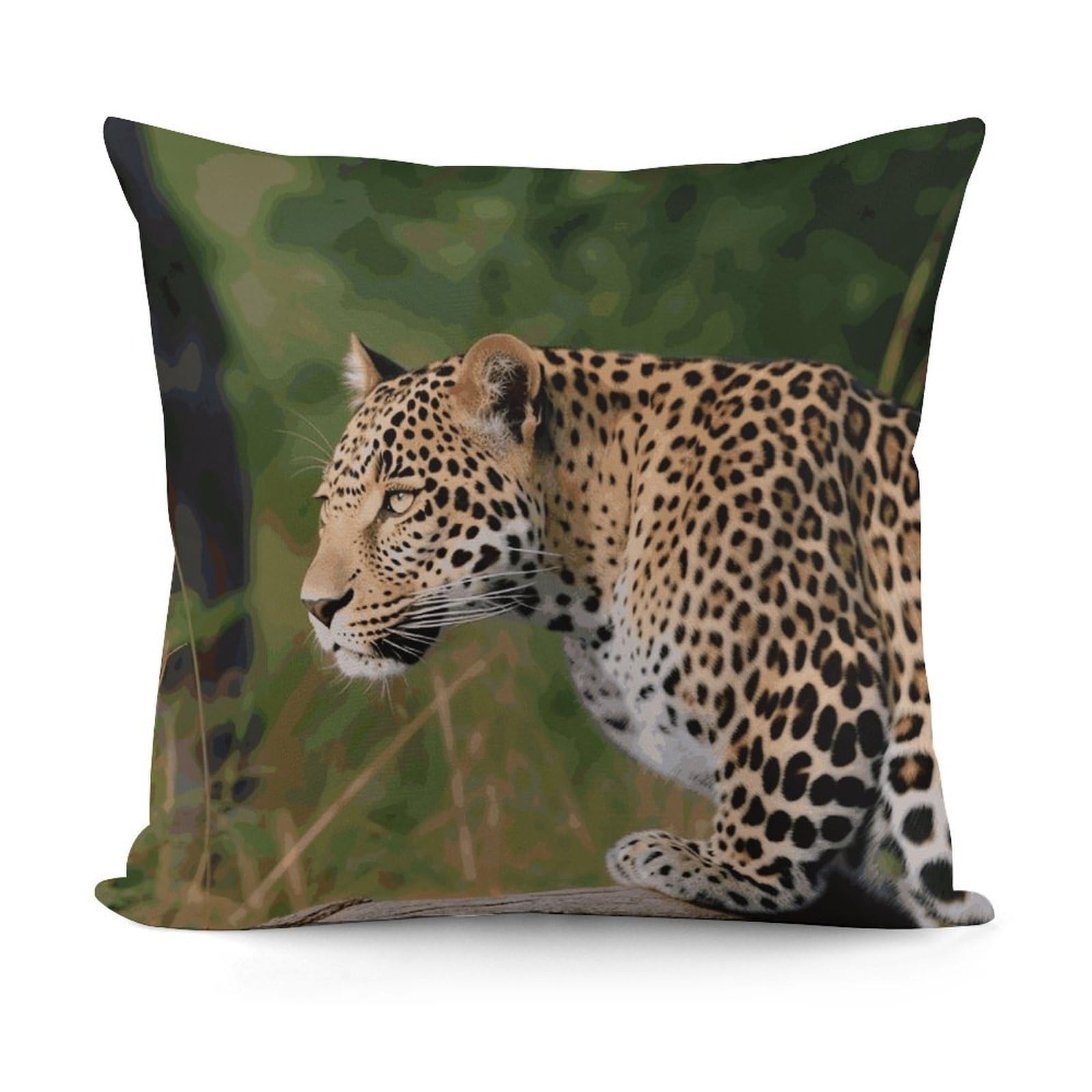 VstaDank African Leopard Throw Pillow Covers 18x18 Inch Soft Couch Home Decor Cushion Cover Comfortable Plush Square Cushion Case Farmhouse Decorative Pillowcase for Living Couch
