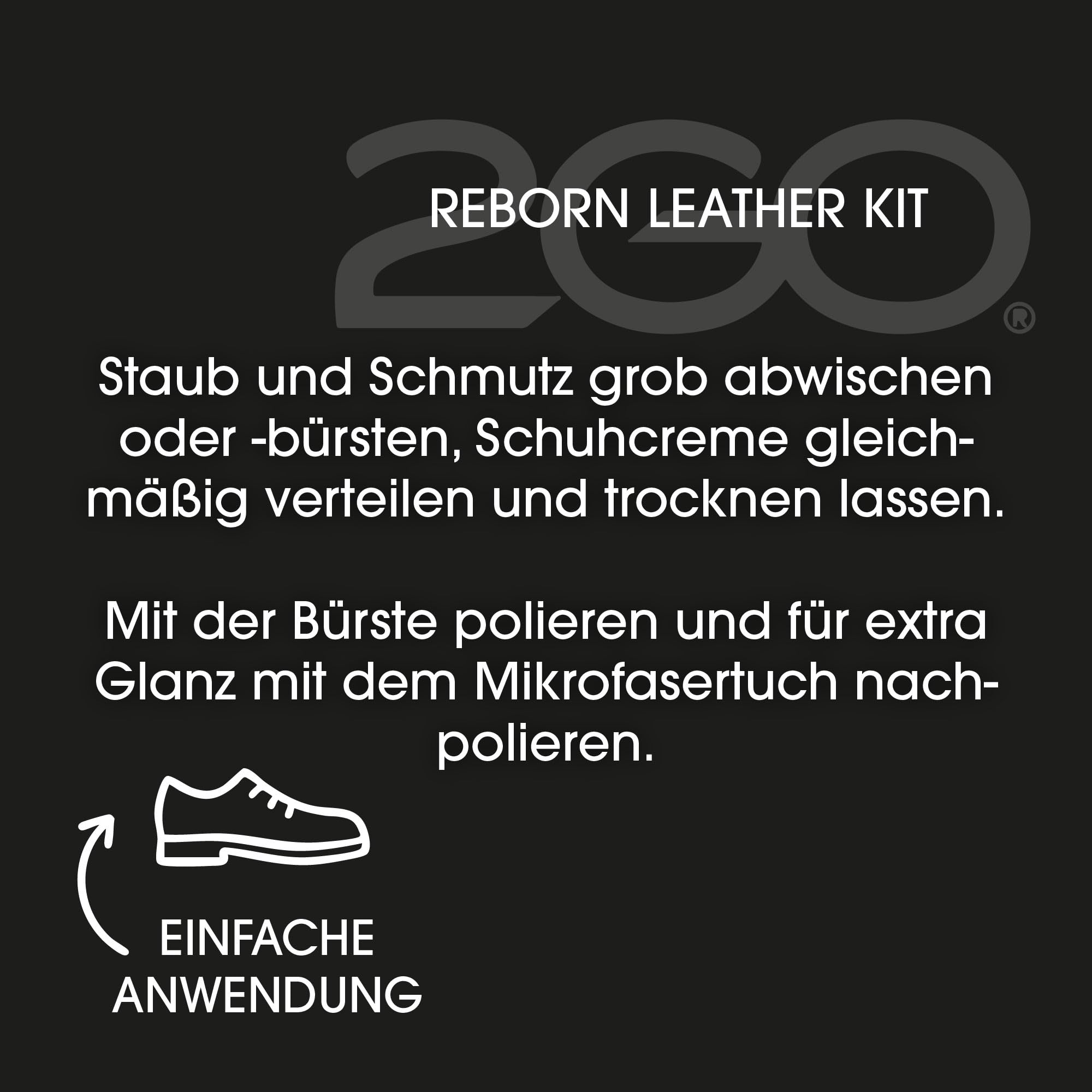 2GO Kit de limpieza de zapatos - Kit de limpieza de zapatos, crema de zapatos, cepillo de limpieza y paño de microfibra para cuero