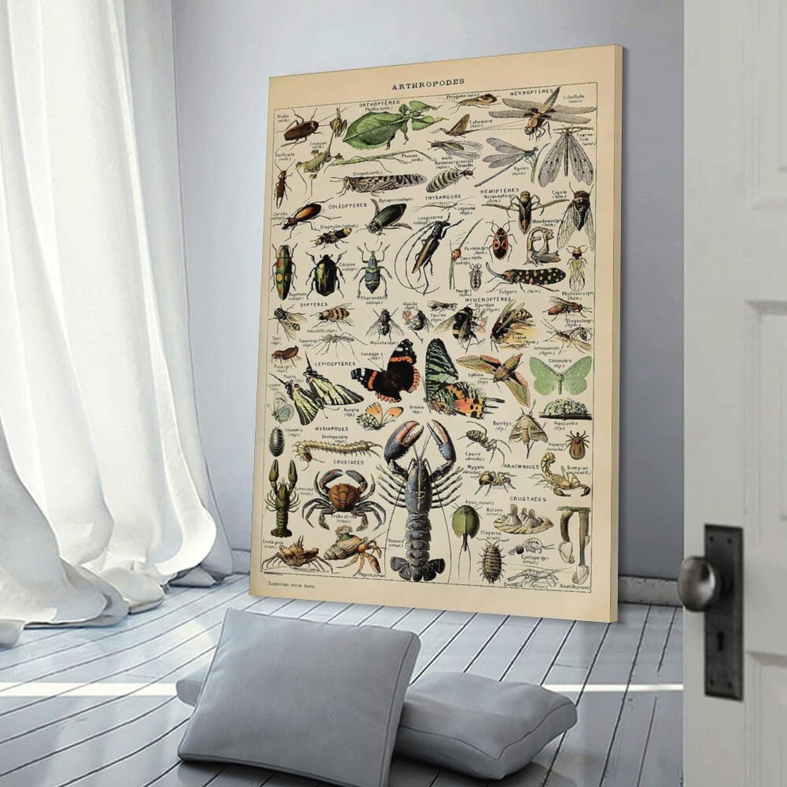 Junmoney Adolphe Millot Arthropods Canvas Wall Decor 24x36inch(60x90cm), for Workspace Walls, Study Corners Or Bedrooms, Decorative Artwork for Productive Spaces