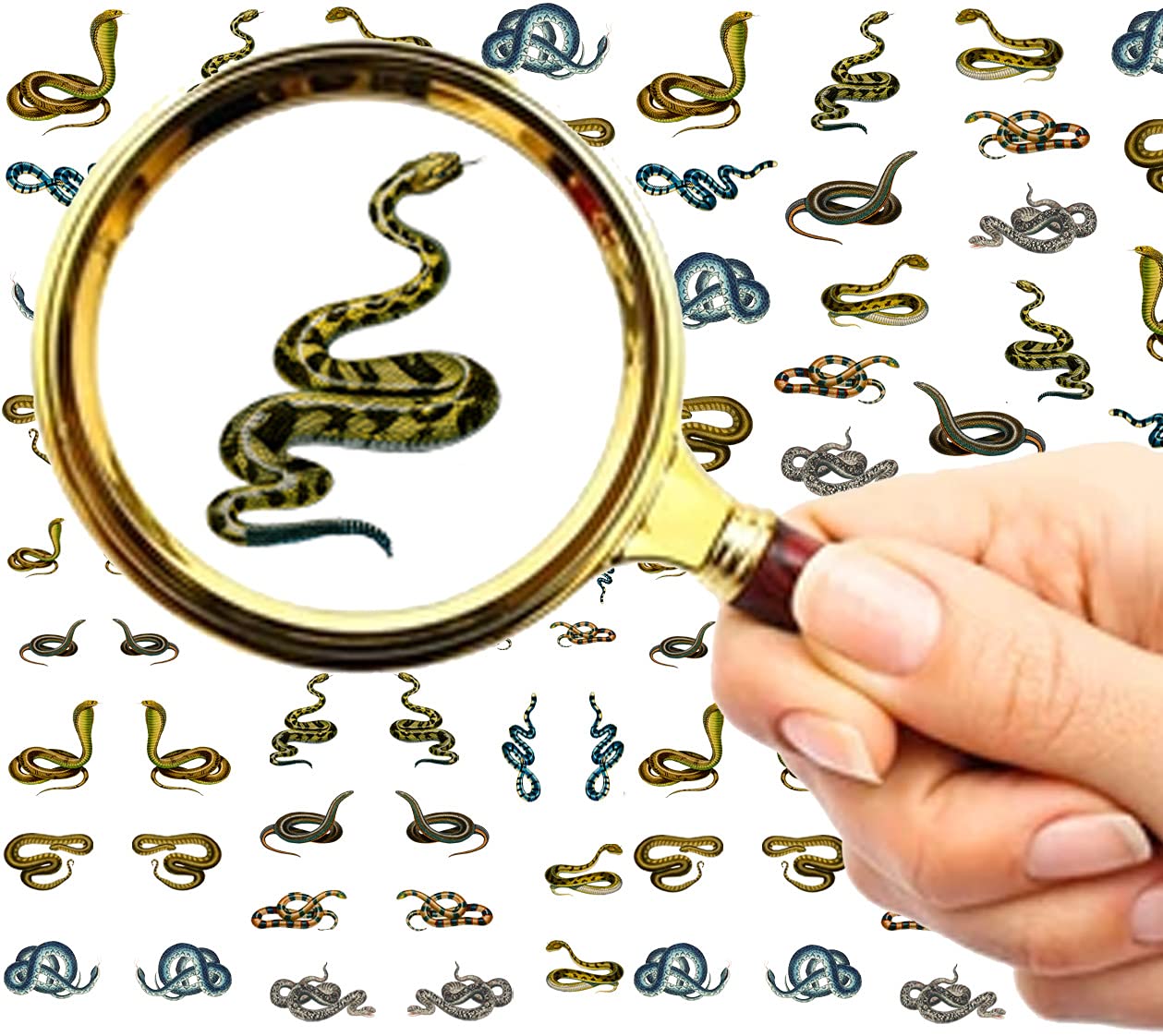 Flonz Flonznail Nail Decal Stickers (5 Sheets) Snakes Cobra Realistic Pictures