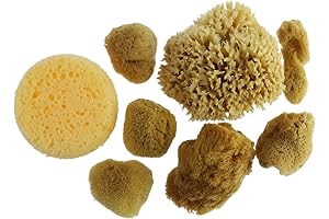 Premium Painting Sponges for Astounding Acrylic Art