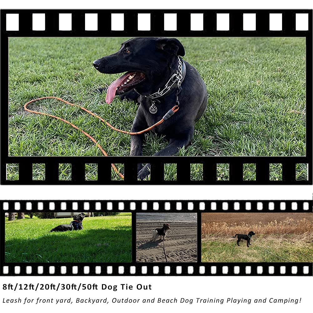 BTINESFUL Correa de cuerda larga para perro de 3,7 m de 6,1 m de 9,1 m y 15,2 m, ideal para perros grandes, medianos y pequeños, entrenamientos, jugando, camping, o patio trasero (3,7 m, azul negro)
