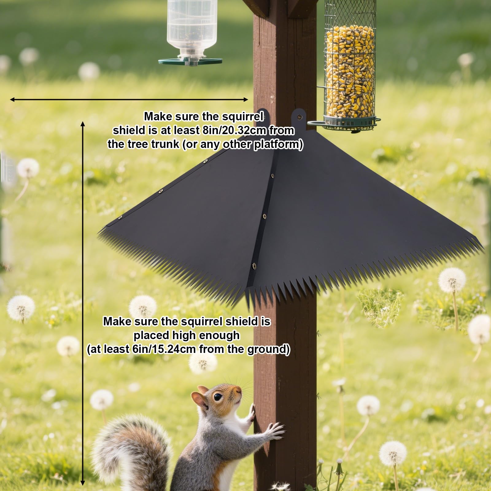 3 Déflecteurs Anti-Écureuils 48cm Pour Mangeoire Oiseaux - Transparent Avec Fixation - Protection Complète