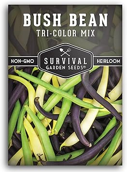 Tri Color Blend Bush Bean Seeds for Planting - Mix of Green, Yellow Wax, Purple Beans with Stringless Pods - 3 Non-GMO Heirloom High Yield Varieties - Survival Garden Seeds 1 Pack