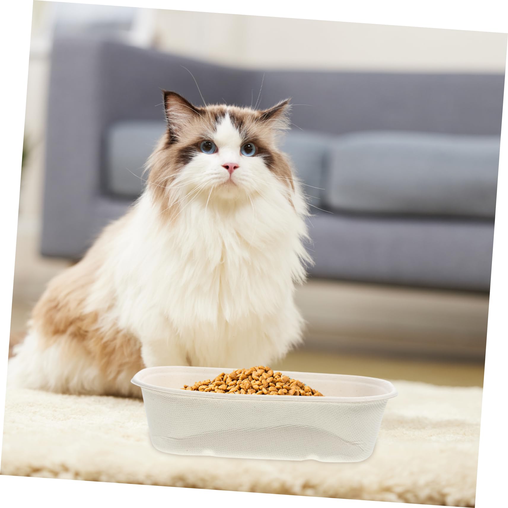 CIYODO Practical Safe Cat Bowl Disposable Dog Bowls Indoor/Outdoor Use Smooth Surface Easy to Use