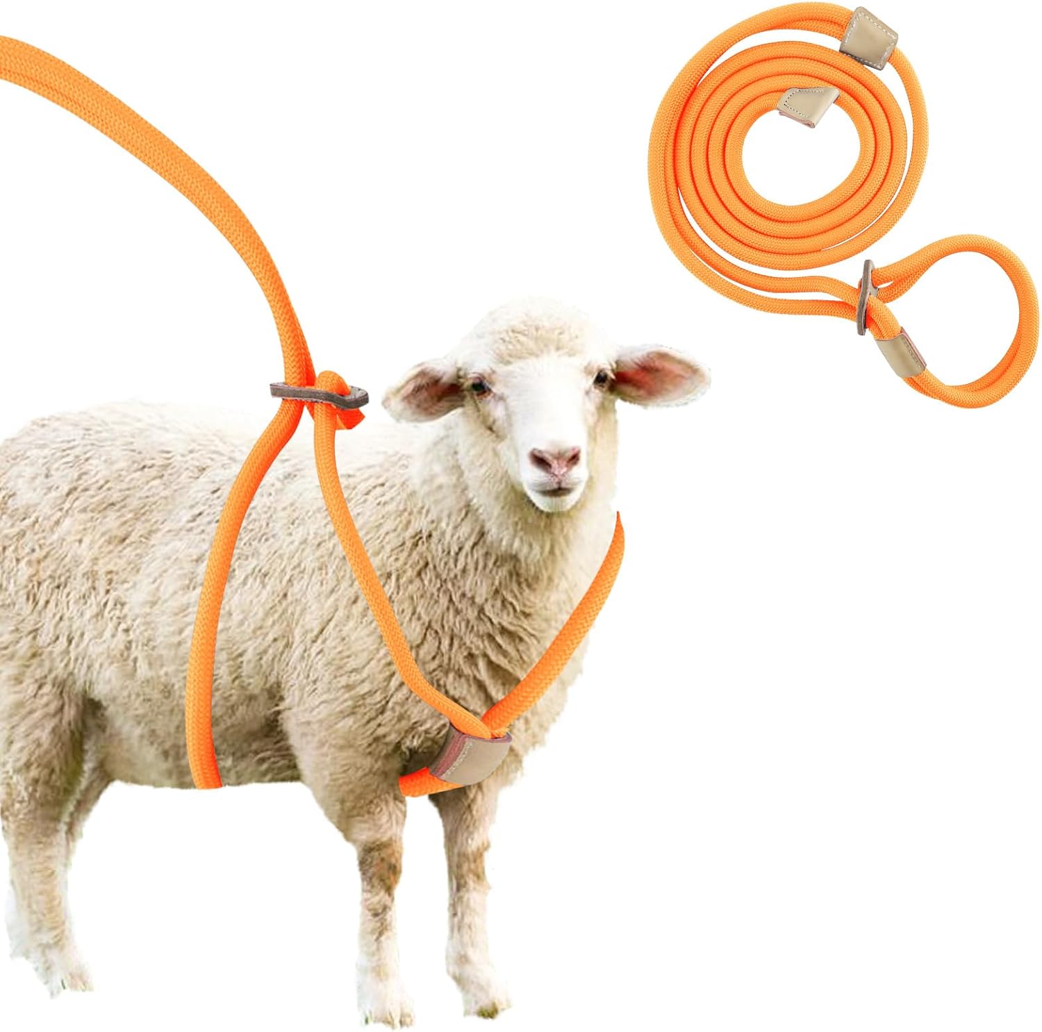 Goat Harness for Walking, Goat Supplies Accessories Washable Leash, Livestock Supplies for Sheeps