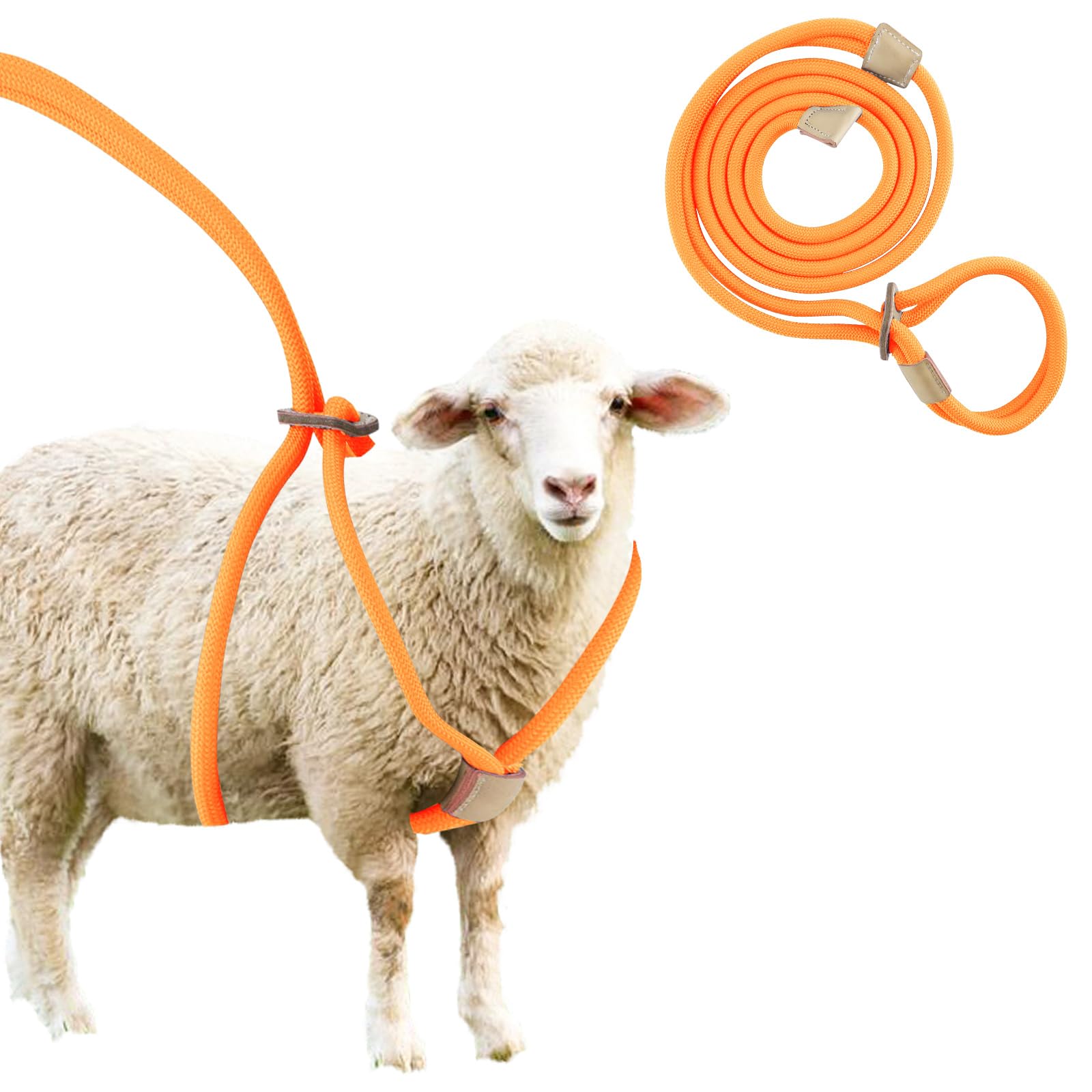 Goat Harness, Adjustable Goat Harness for Walking, Washable Goat Leash, Goat Accessories, Livestock Supplies for Goats and Sheep, Orange