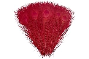 Red Peacock Feathers: Enhance Your Creations with Vibrant Elegance