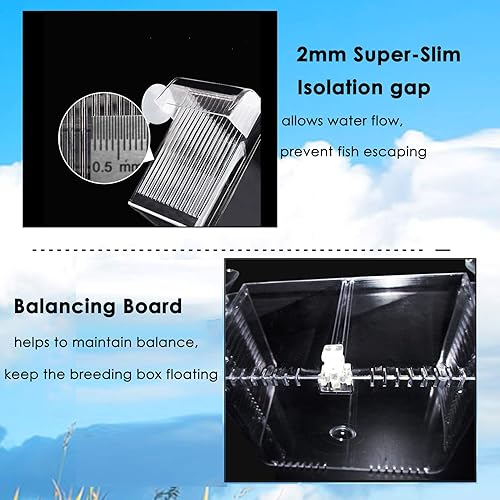 Miniatura 9 de capetsma Caja de cría de peces, Caja de aislamiento de peces de acrílico con ventosas, incubadora de incubadora de aclimatación de acuario