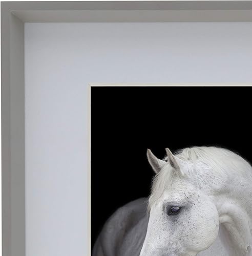 Miniatura 5 de Studio Nova Portarretratos muestra fotos de 5 x 7 pulgadas, 8 x 10 pulgadas, sin paspartú, 8 x 10 pulgadas, mate de 5 x 7 pulgadas, gris