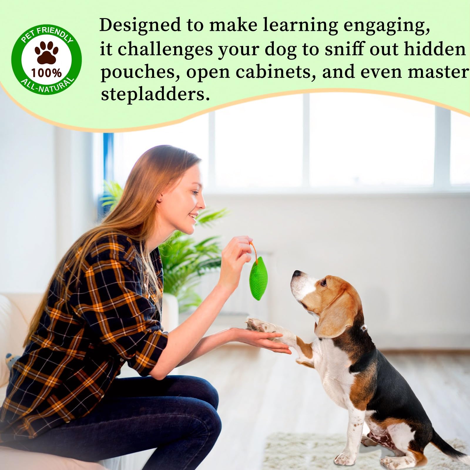 Kit de Entrenamiento de Aroma para Perros, Juegos cerebrales para Perros, Juguetes para esconderse y Buscar, Juegos para Perros, Divertido Trabajo de Nariz para Perros, Juguetes para