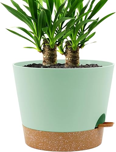 UOUZ Maceta de riego automático de 12 pulgadas, macetas de plástico para plantas y flores de interior, verde con marrón