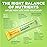 Keto Vitals Keto Electrolytes Plus Greens Superfood Powder Packets - 30 Servings Super Greens Powder Packets with Sugar Free Electrolytes for Hydration, Gut Health & Digestion - Green Drink Mix
