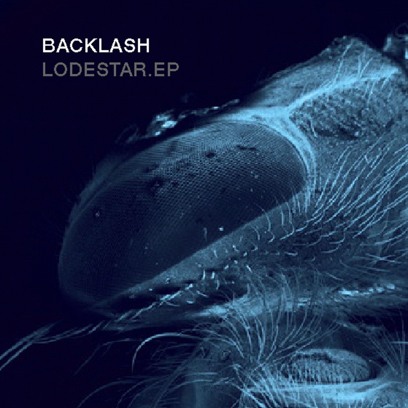 Lodestar