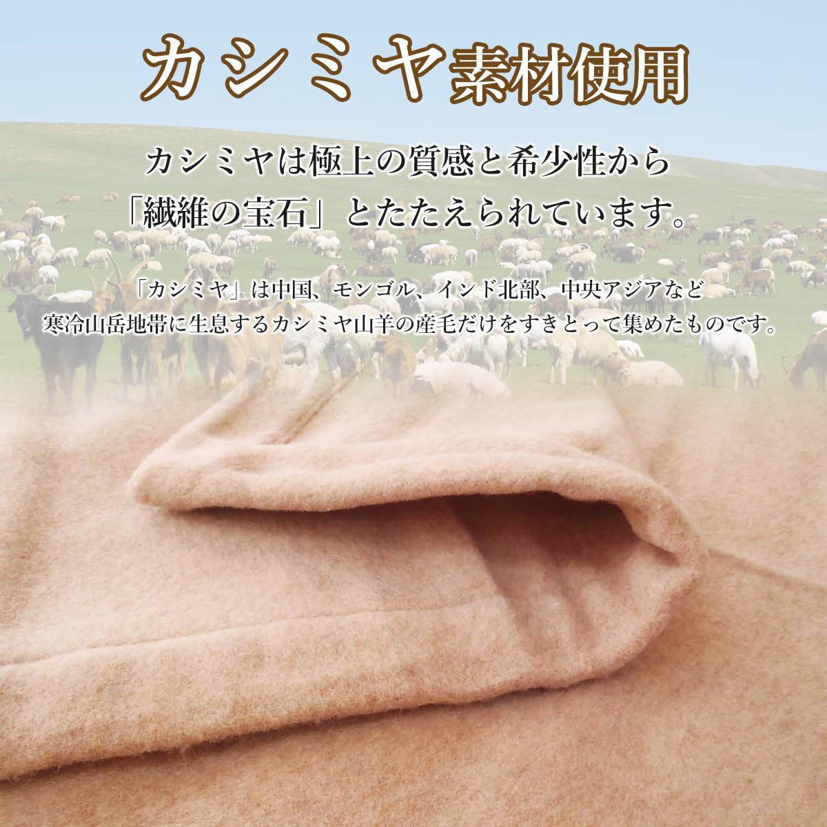 Amazon｜西川 カシミヤ毛布セミダブル カシミヤ 毛布 セミダブルロング 