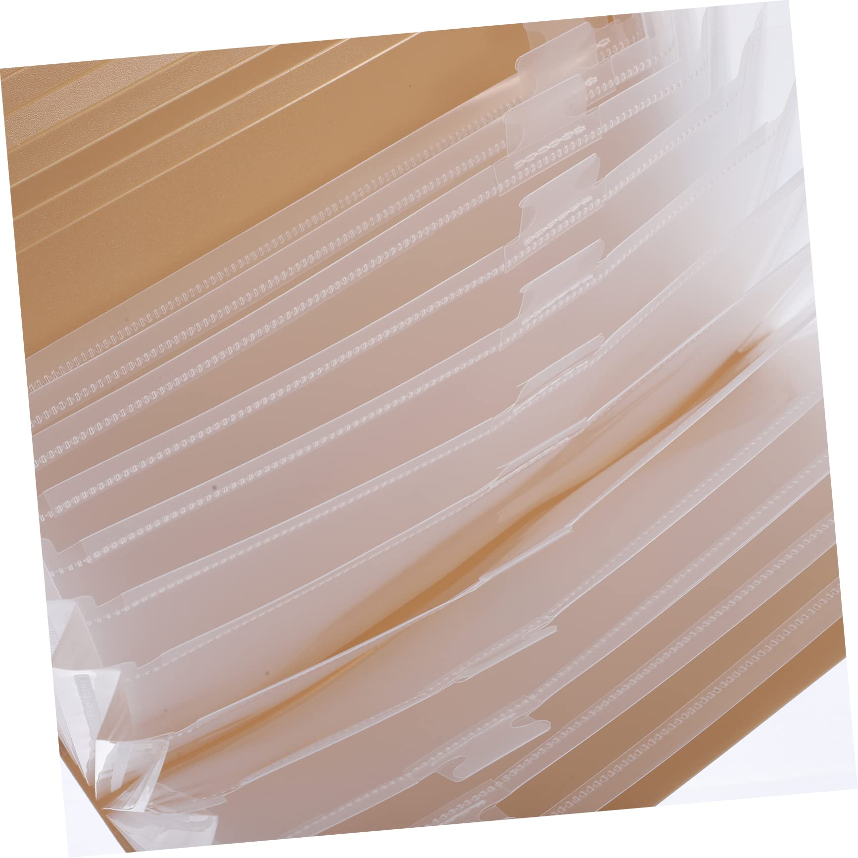 Lurrose Cartellina Portadocumenti in Plastica Espandibile Fisarmonica Organizzatore Di File Tasche Etichettate Per Classificazione Semplice
