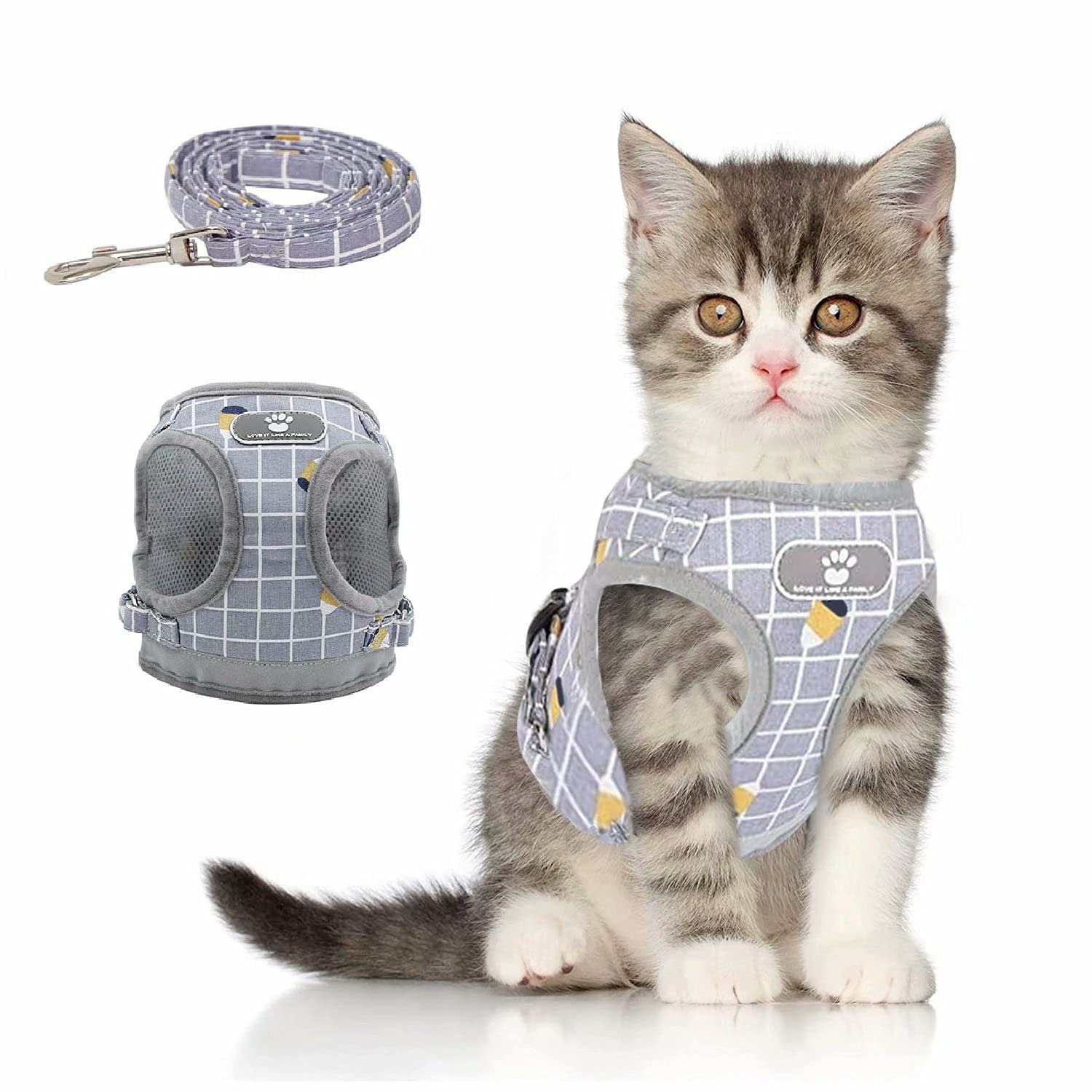 kitten harness
