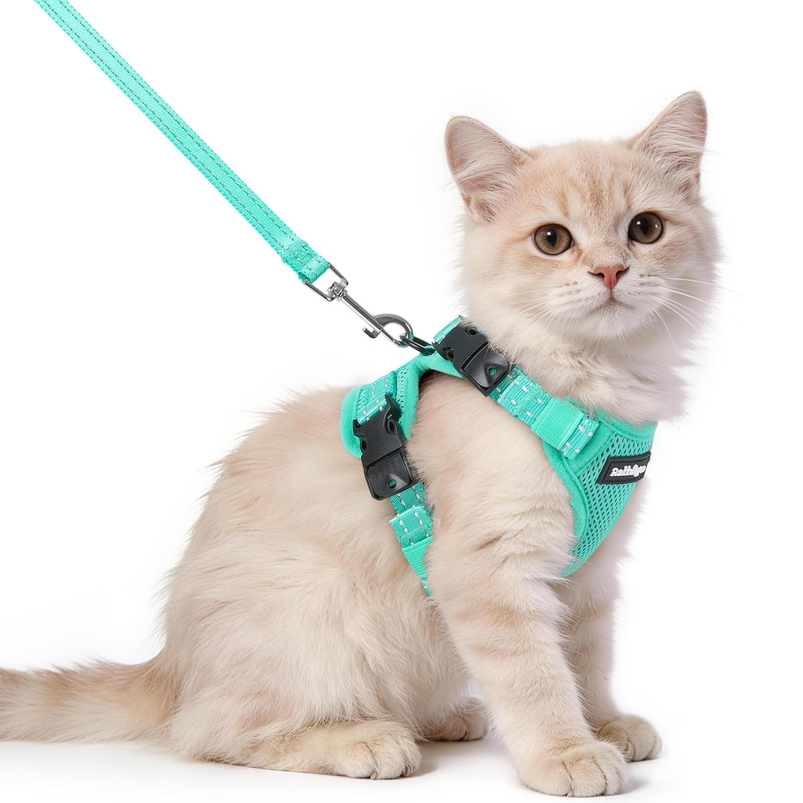 rabbitgoo Cat Harness and Lead Set, Escape Proof Kitten Harness with 3 Adjustable Buckles, Soft Comfortable Cat Vest with Leash, Easy to Wear, Reflective for Safe Outdoor Walking, XS, Green