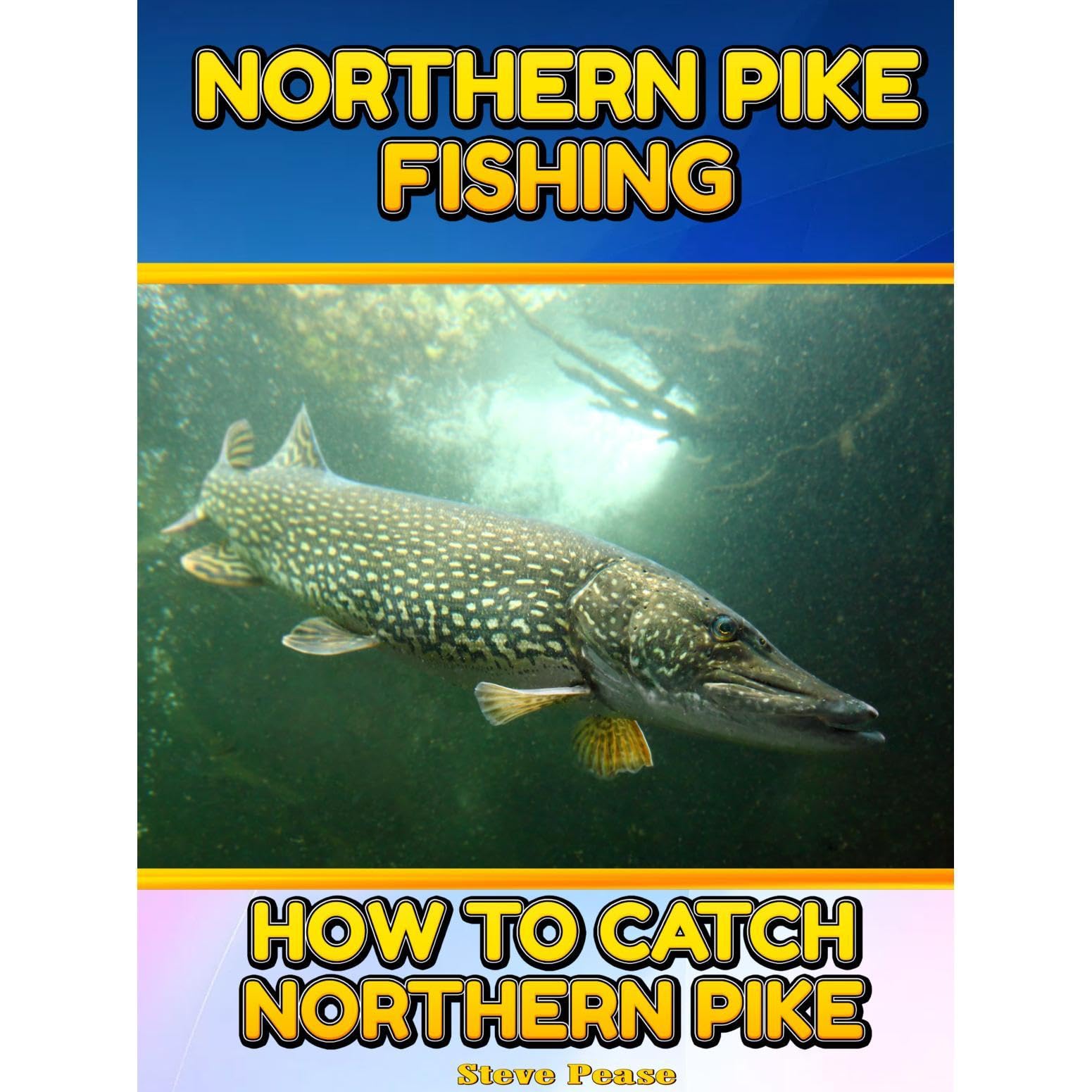 NORTHERN PIKE FISHING