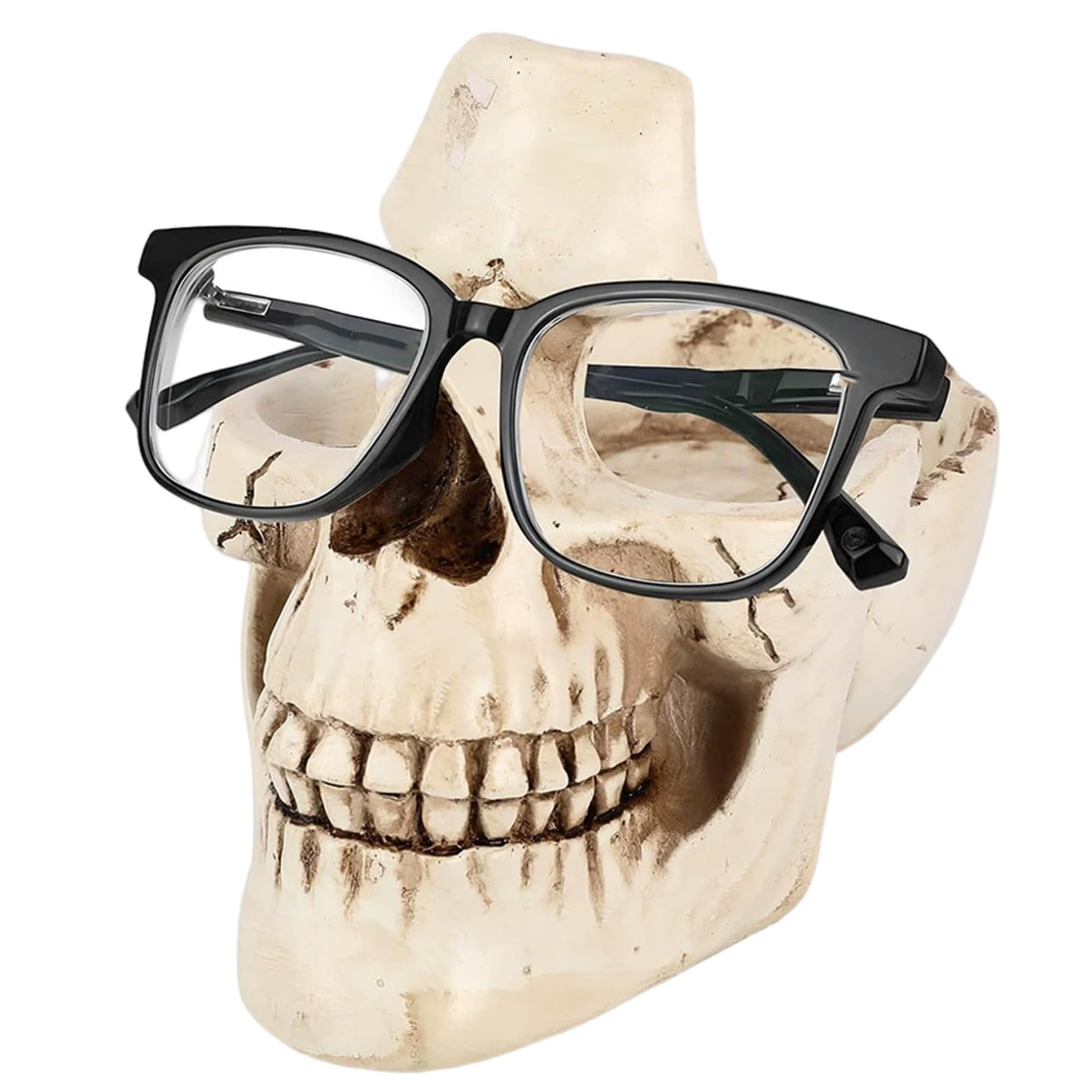 Porte-lunettes en forme de crâne : idée cadeau déco gothique originale pour la maison et le bureau