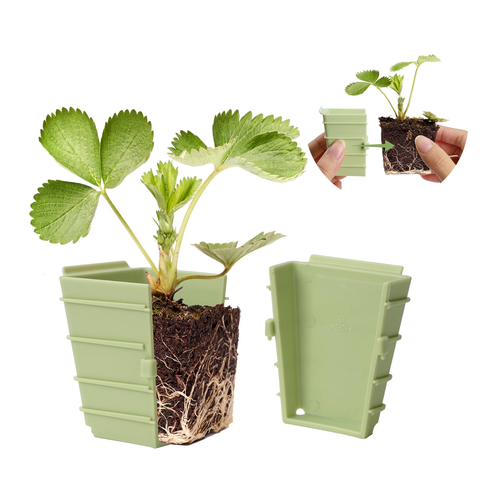 Green Bazzar Seed Starter Tray 10 Pieces Square 2.3'' Pots Reusable Gardening Germination Growing Kit Supplies with Drain ...
