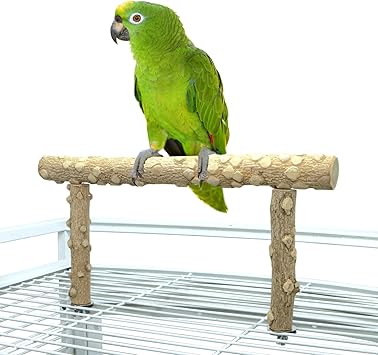 Bird Perch Stand, Bird Cage Top Perch Gym,Natural Wood Parrot Branch for Small Medium Large Parrot M
