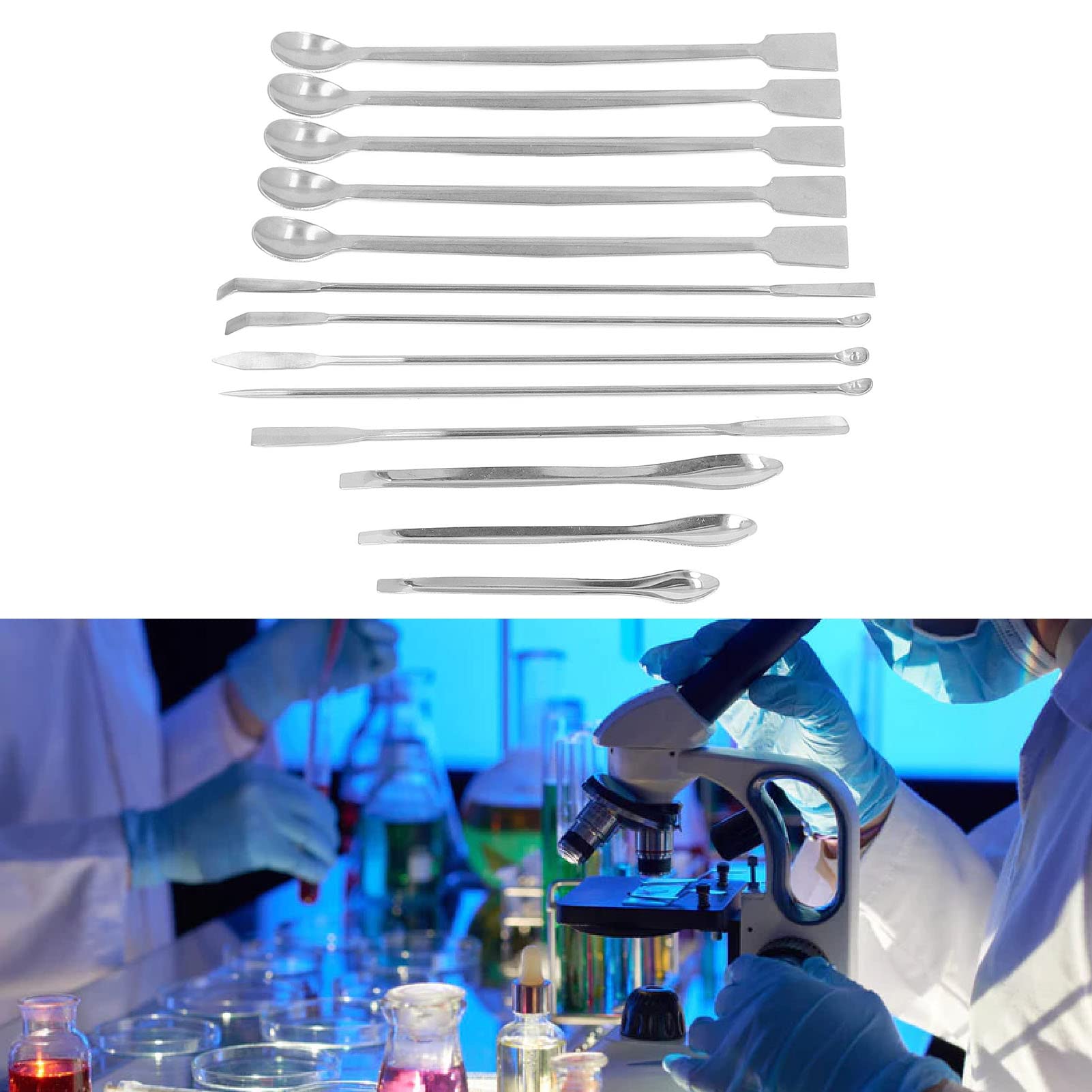 Lab Spatula 13Pcs Laboratory Spoon Stainless Steel Lab Scraper Micro Lab Spoon Sampling Scoop Spatulas for Drugs Reagents