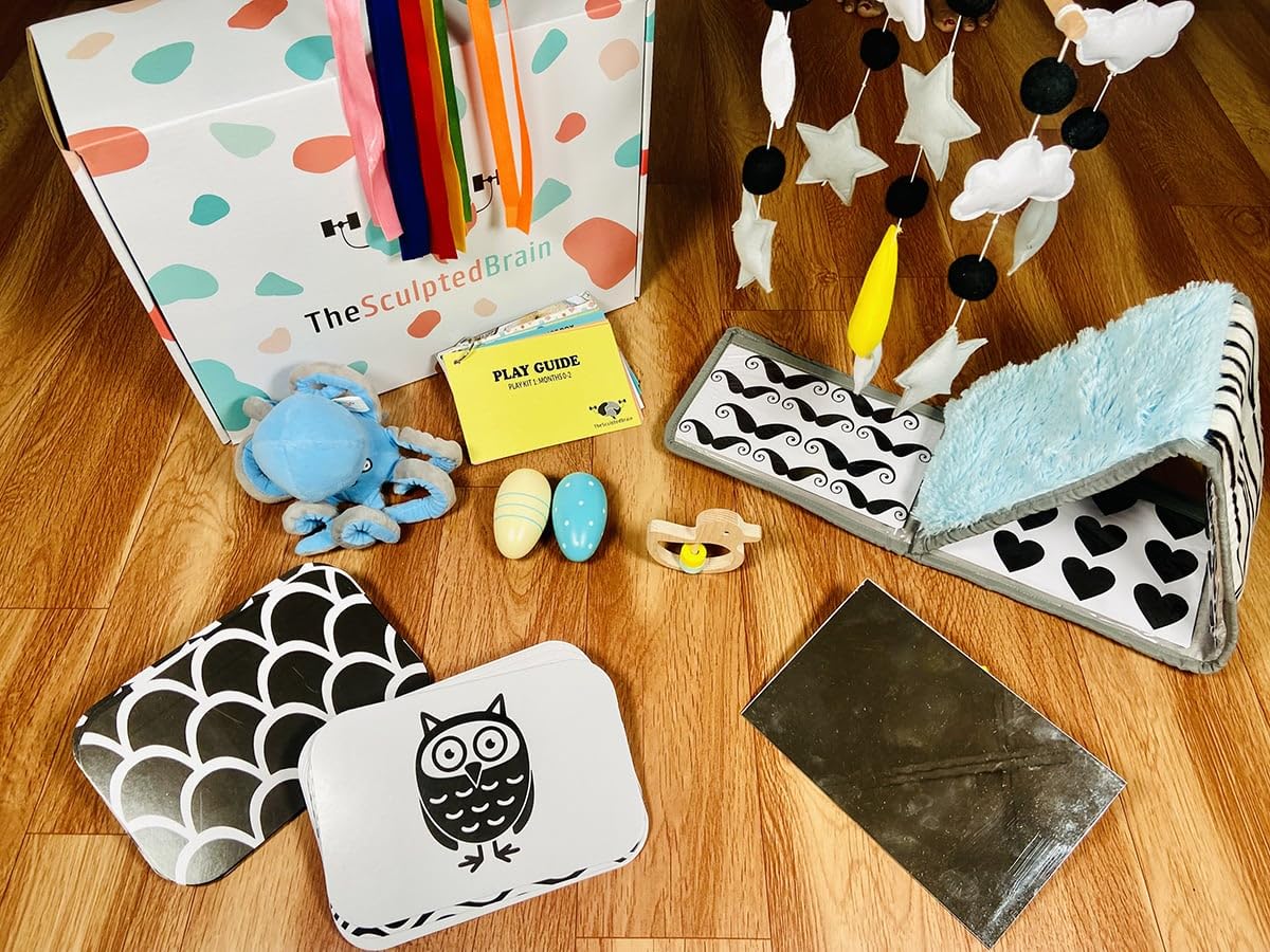 The Sculpted Brain Kid’s Development Play Kit | Learning Toys | Children Improvement kit | Improve & Develop Language Memory Skills | 1 Kits