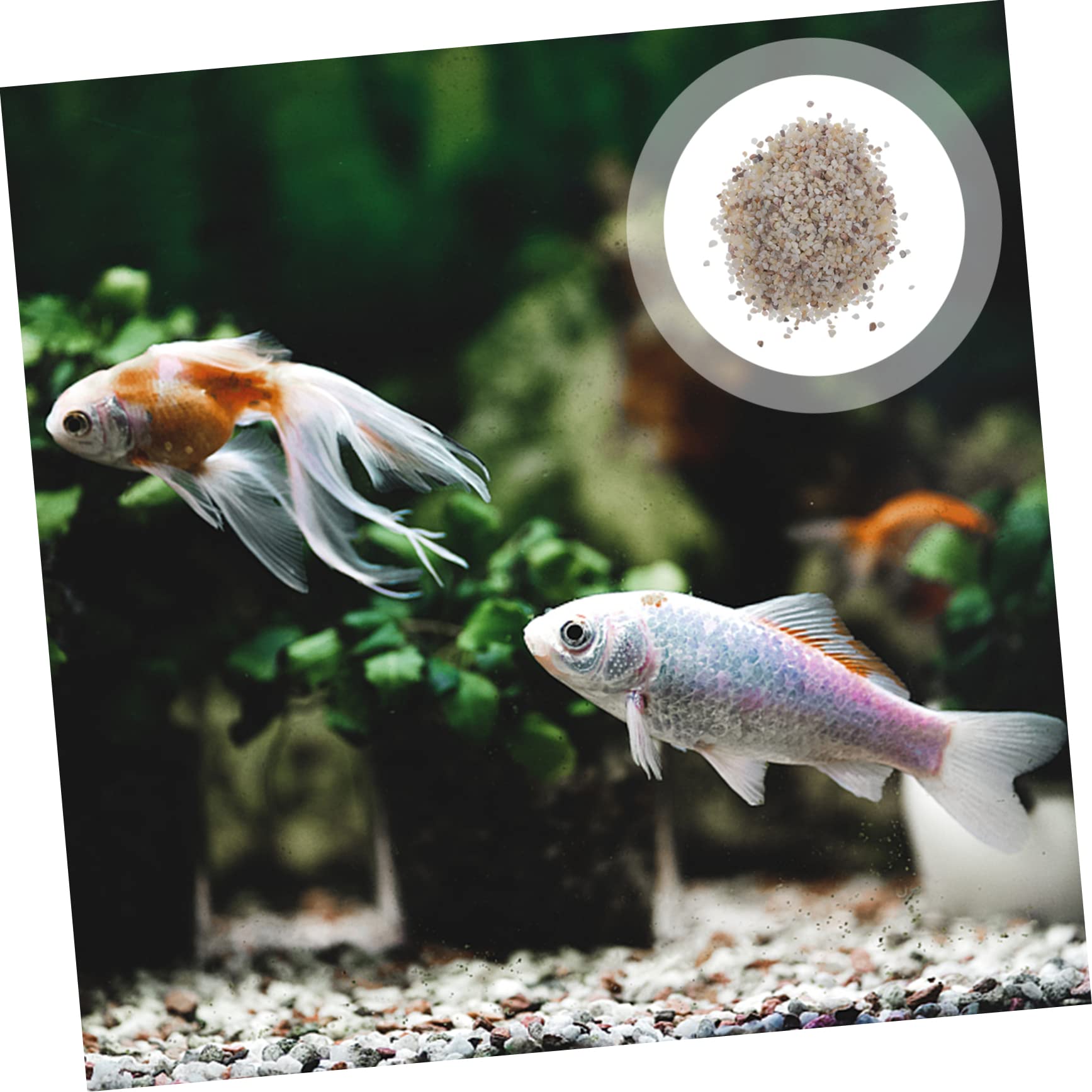 Aquarienkies Für Süßwasser Mit Aquariensand Und Kies Für Fische Und Schildkrötenbecken Als Dekoration