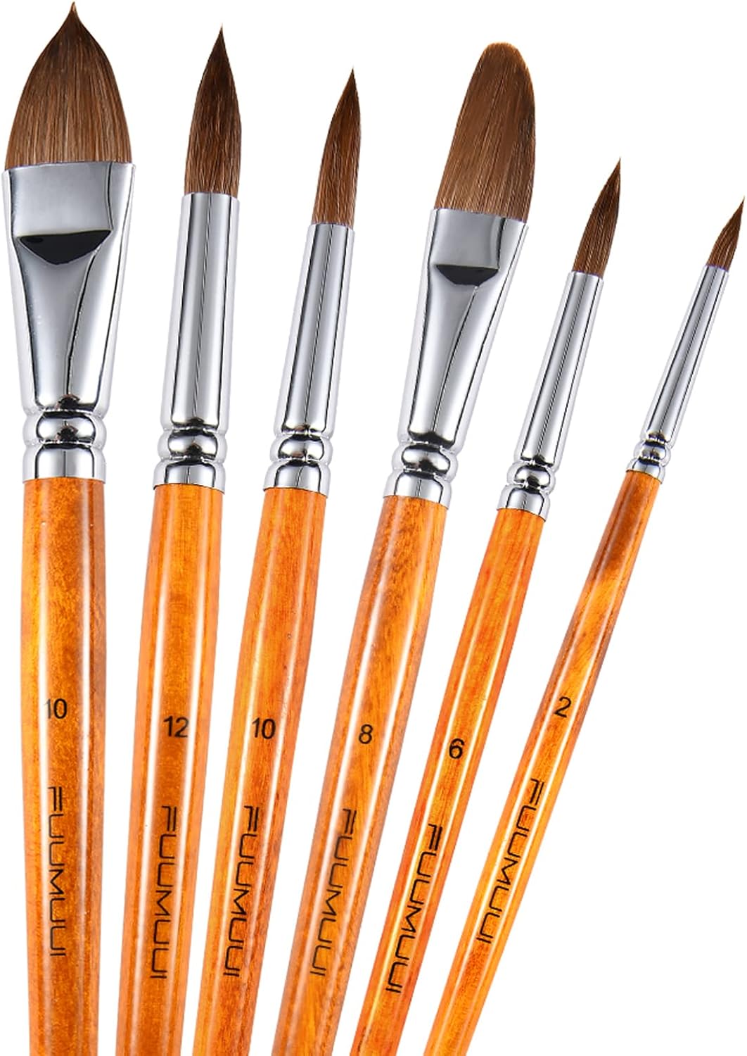 Sable Watercolour Brushes SetArtist Paint Brushes 6PCS Professional
