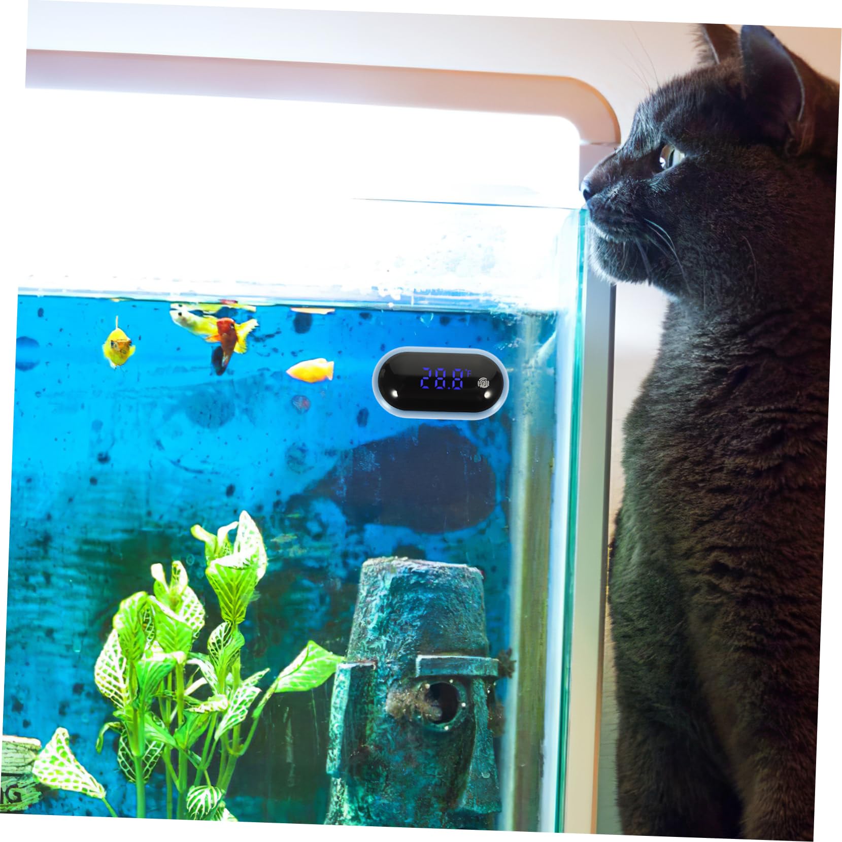 Sosoport 3stücke Professionelles Aquariumthermometer Mit Großem -display Tragbar Und Hochpräzise Für Aquarien Und Teiche Einfache Handhabung Energiesparend Und Langlebig
