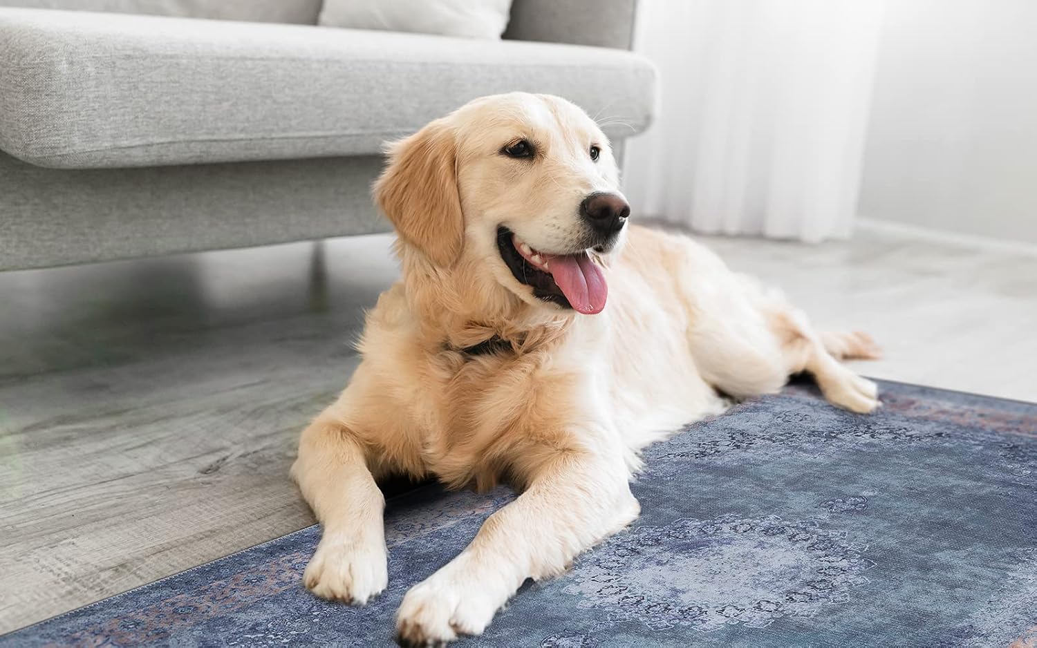 RugOver Machine Washable Area Rug, Pet-Friendly and Non-Slip Indoor Carpet for Kitchen, Bathroom, Living Room, Home Floor Decoration(Ash/Champagne, 2' x 3')