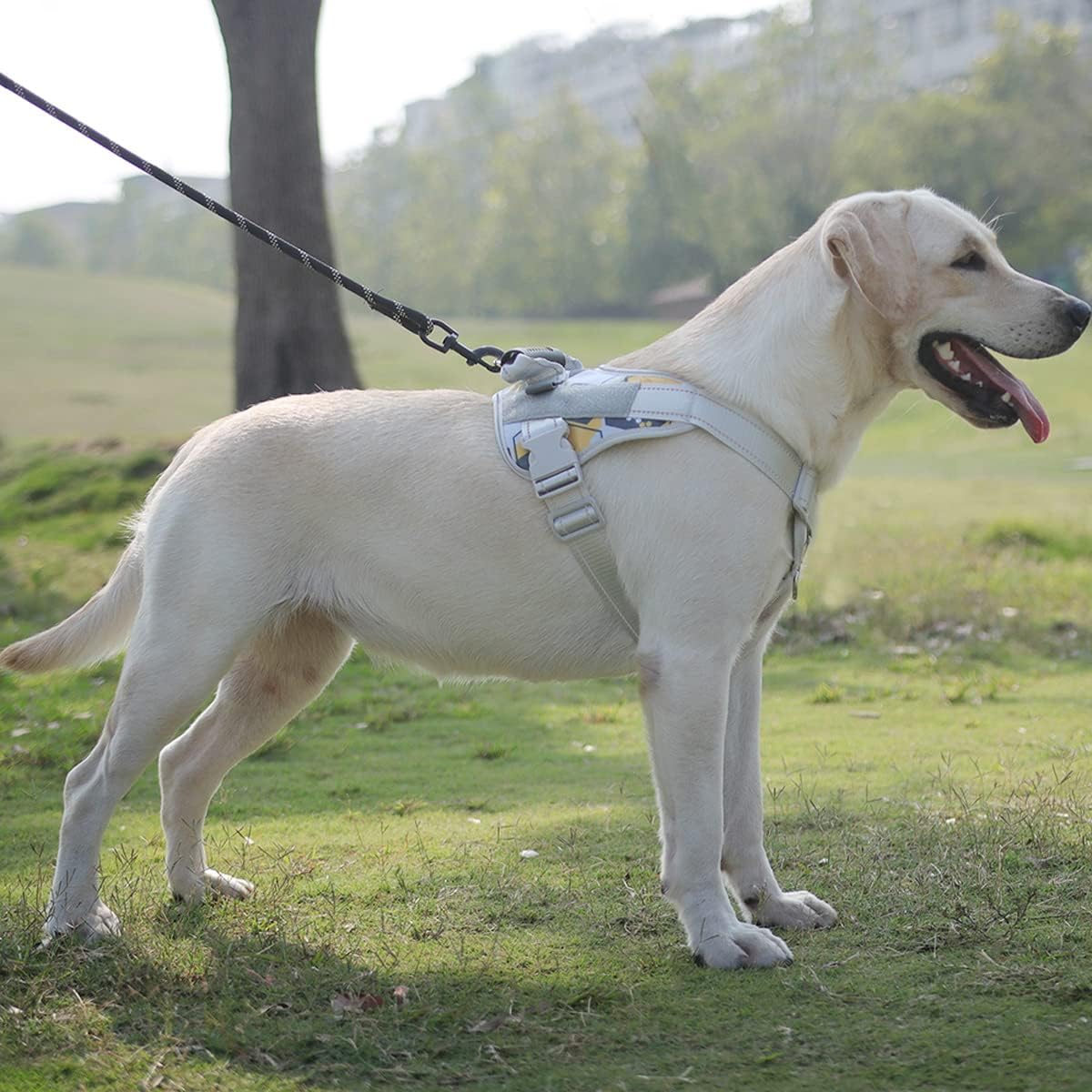 MESVIER Arnés Para Perro Grande Mediano Pequeño Con Correa 1.5m