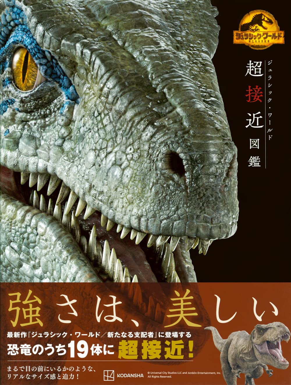 Amazon.co.jp: ユニバーサル: 本、ブルーレイ＆DVD
