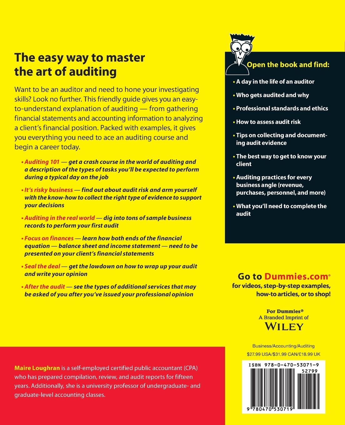 Auditing For Dummies (For Dummies Series)
