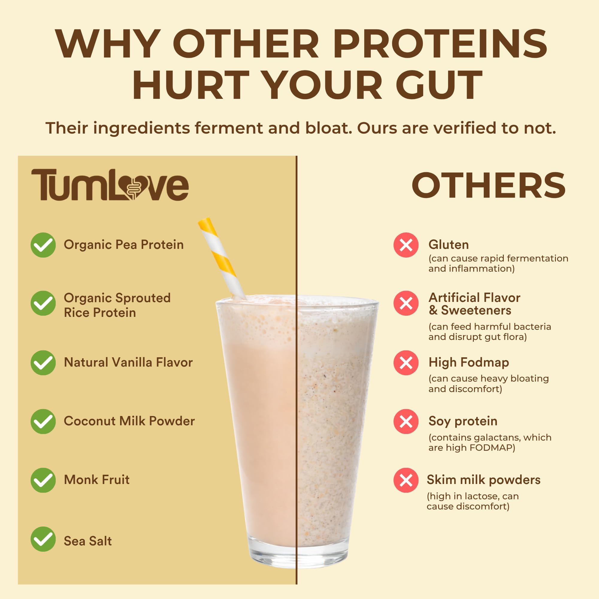 TumLove Vegan Protein Powder - Low FODMAP Certified, Gluten-Free, Dairy-Free, Soy-Free, 100% Gut-Friendly & Non-Bloating, Vanilla (25 Servings) — Amazon image 4