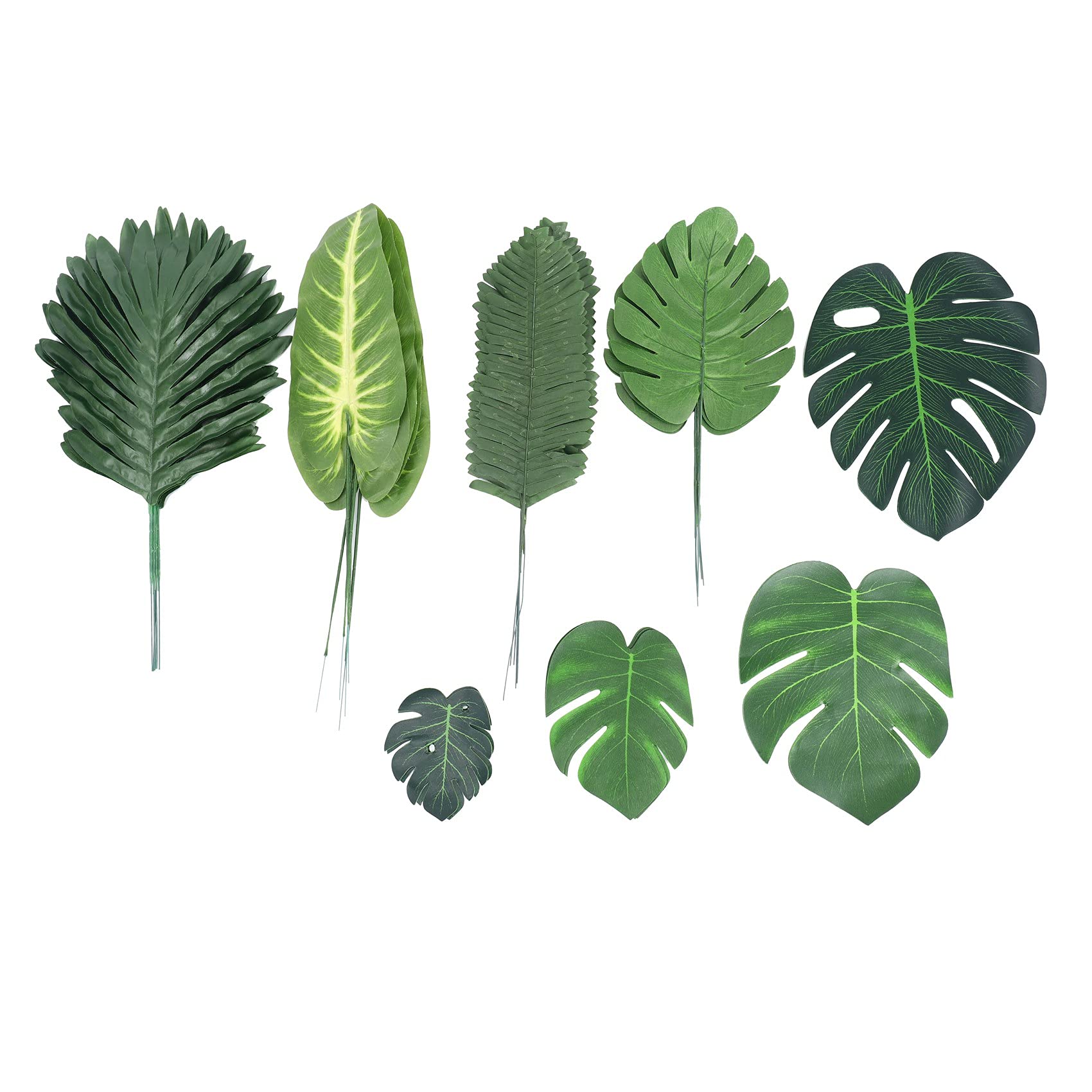 philodendron birkin rojo congo Philodendron Birkin main image 0