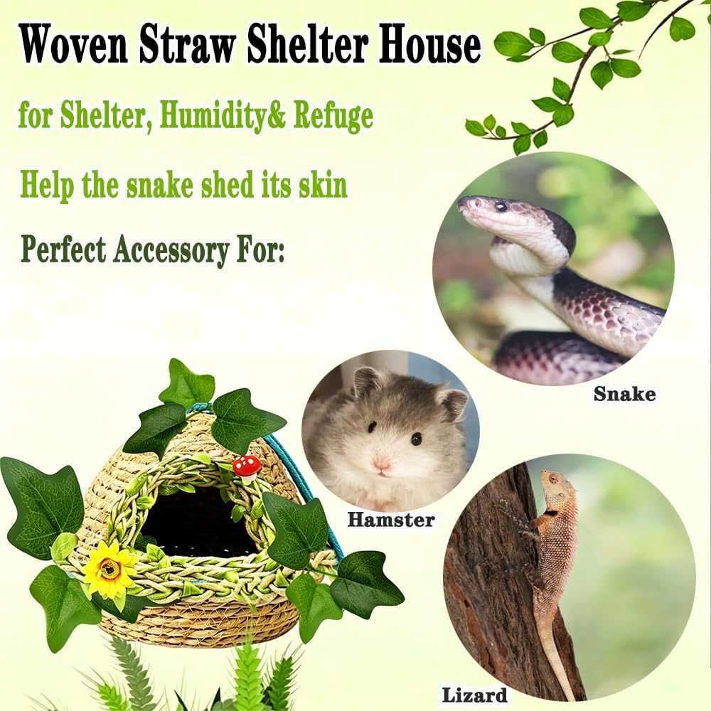 Reptiles Hide, Handcrafted,Reptile Cave Hideout Tank Accessories Decorations, Great for Reptiles, Amphibians, Snake，Leopard Gecko, Lizard image 5
