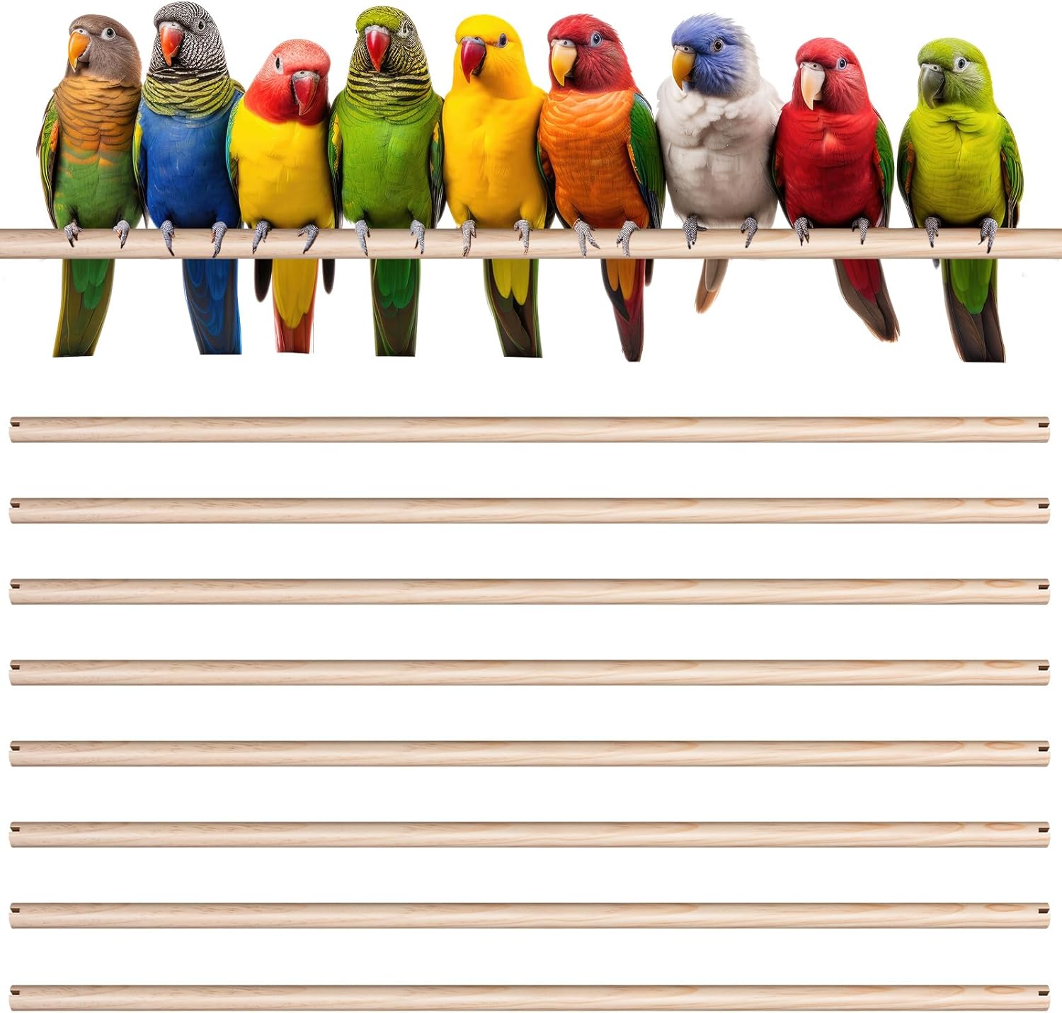 Sintuff 8 Pcs Bird Perches for Cage Accessories, Wooden Perch Rods Replacement with Double Head Slots, 0.6 Inch Diameter Natural Wood Stand for Parrot Macaw Cockatoo Parakeet(24 Inches)