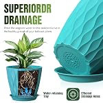 8 Inch Plant Pots 4 Pack Plastic Planters with Drainage & Saucers | 8 inch 4 pack plastic plant pots with 3D water ripple texture, drainage holes and saucers for indoor outdoor plants