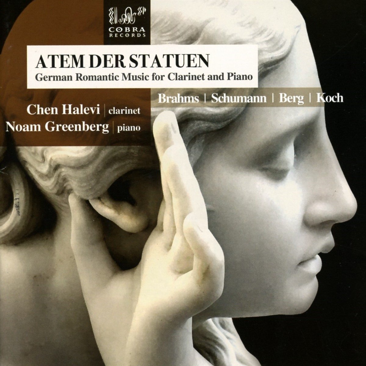German Romantic Music For Clarinet And Piano