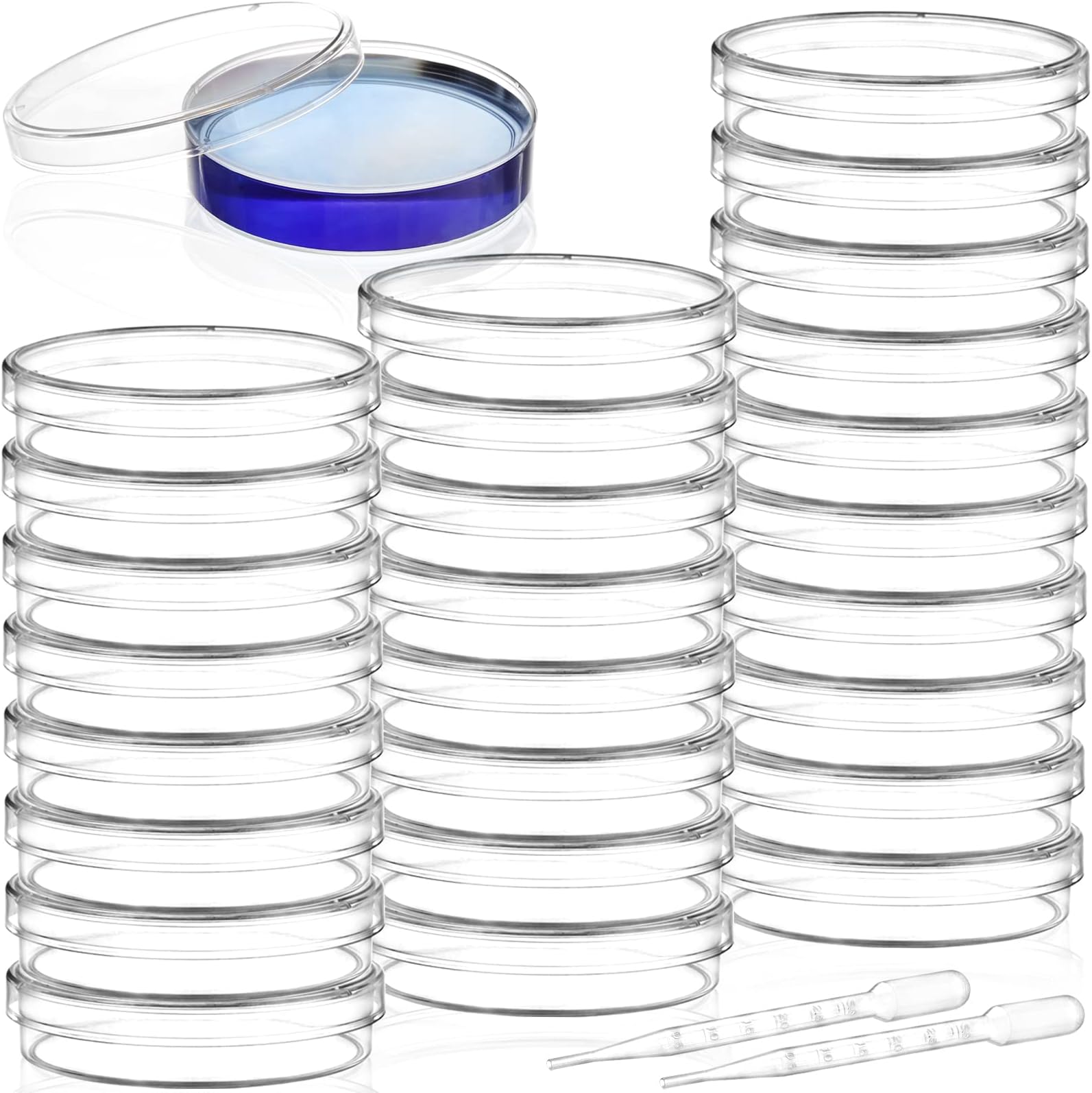 100 Pack Plastic Petri Dishes with Lids, 60mm Dia x 15mm Deep Sterile Clear Petri Dishes with 100Pcs Plastic Transfer Pipettes (3ml) for Lab, Science, Experiment
