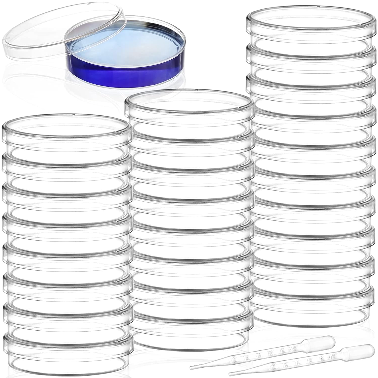 Bekith 100 Pack Sterile Petri Dishes 60mm x 15mm with Lids & 100 3ml Pipettes for Lab Science Experiments