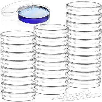 Bekith 100 Pack Plastic Petri Dishes with Lids, 60mm Dia x 15mm Deep Sterile Clear Petri Dishes with 100Pcs Plastic Transfer Pipettes 3ml for Lab, Science, Experiment