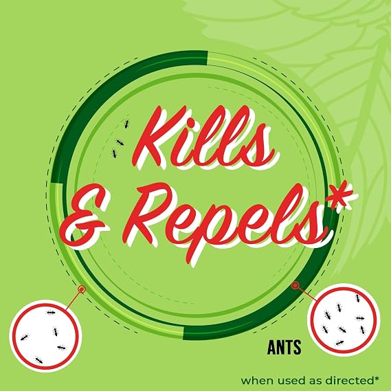 Mighty Mint Peppermint Oil Ant Killer Spray Natural Ant Repellent for Indoor & Outdoor Use Plant-Based Insect & Pest Control 16 oz (Pack of 2)