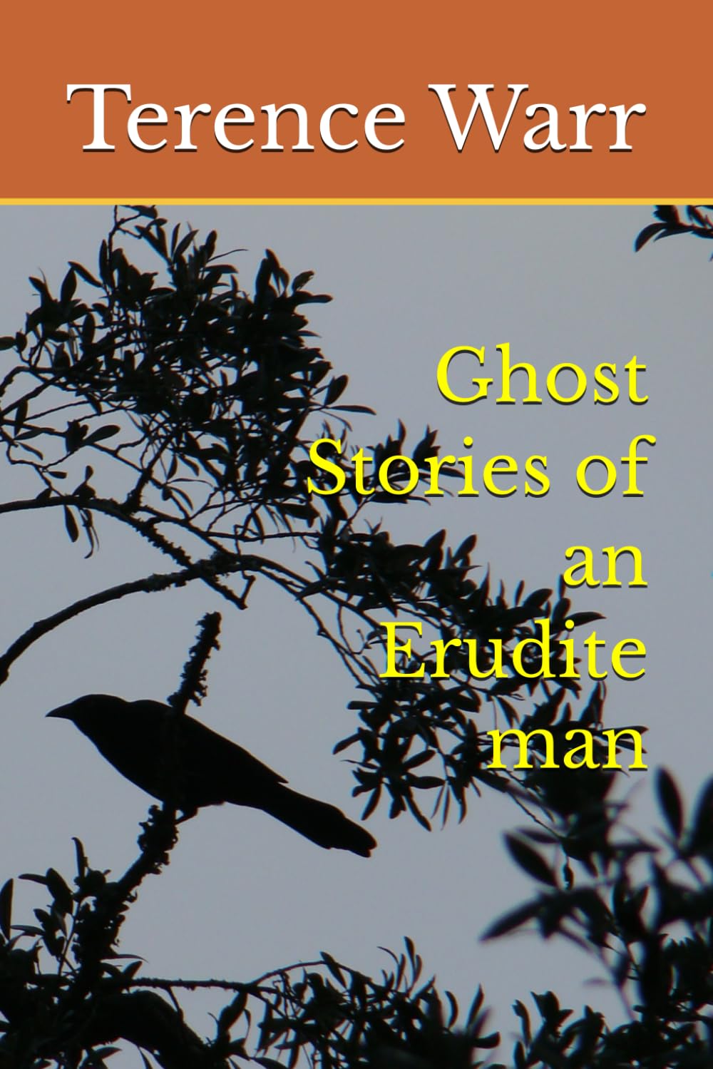 Ghost Stories of an Erudite man