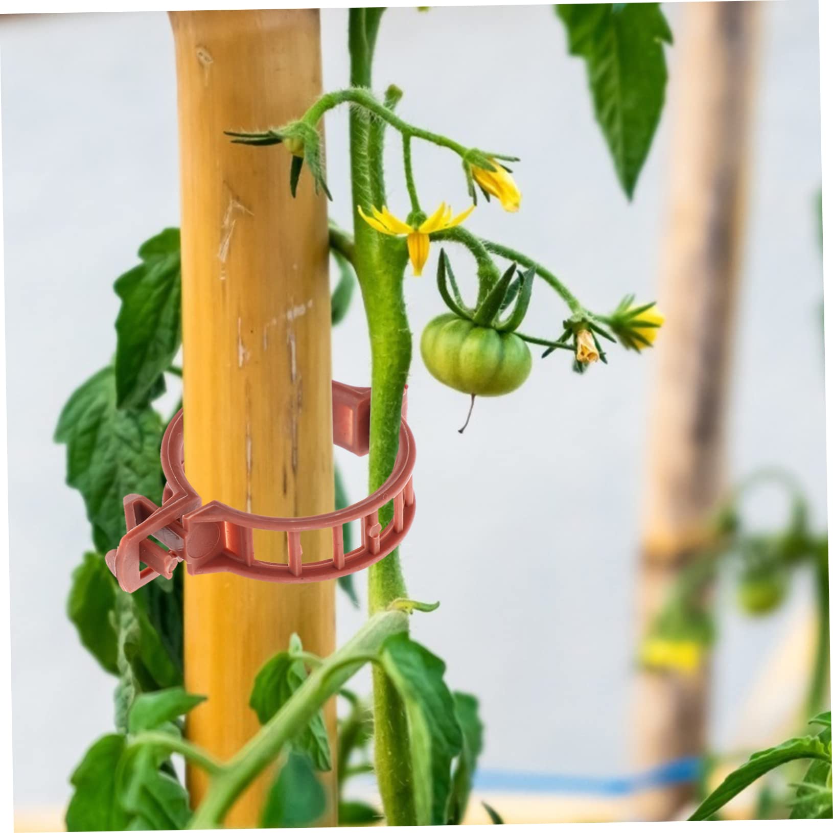 300stücke Teiliges Set Pflanzenclips Für Tomaten Und Andere Gartenpflanzen Umweltfreundlichem Kunststoff Unterstützung Von Stängeln Und Für Gewächshäuser Und Garten