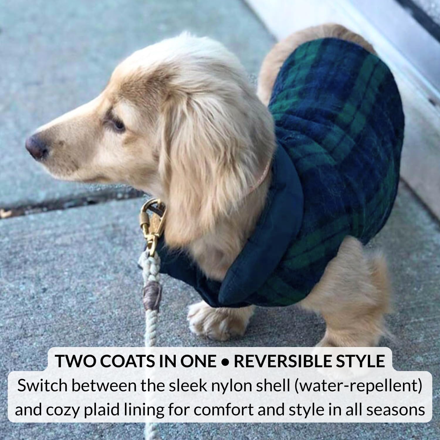 DJANGO Reversible Puffer Dog Coat – Warm Winter Dog Jacket & Water-Repellent Insulated Dog Coat w/Harness Hole, Windproof, Adjustable Fit for Small & Medium Dogs, Dachshunds – Twilight Blue, Medium
